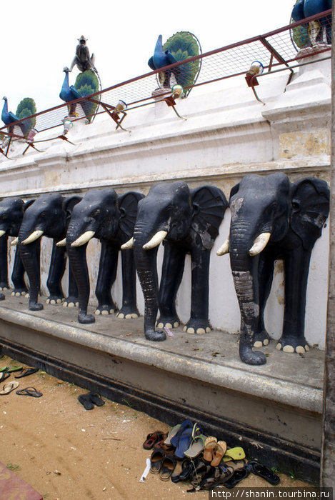 Стена со слонами Катарагама, Шри-Ланка