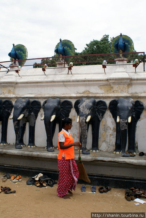 У стены храма сбрасывают обувь Катарагама, Шри-Ланка