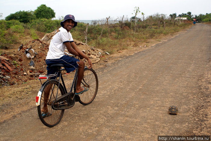 Мальчик на велосипеде Киринда, Шри-Ланка