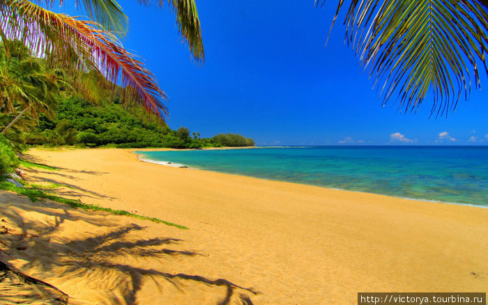 Beach Атолл Роуз, Американское Самоа