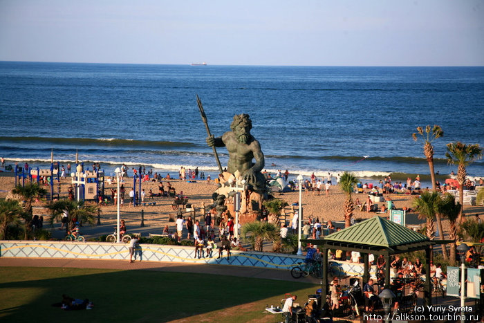 Looking virginia beach