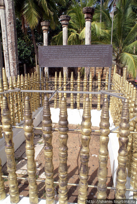 Золотая изгородь Михинтале, Шри-Ланка