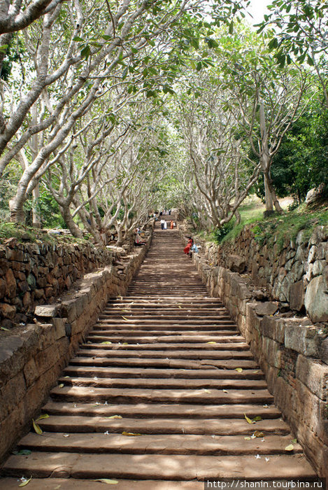 Каменная лестница Михинтале, Шри-Ланка