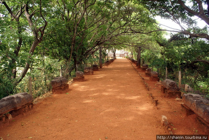 Красная — торжественная — дорожка к храму Наланда, Шри-Ланка