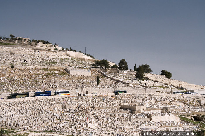 Вид на старое еврейское кладбище Израиль