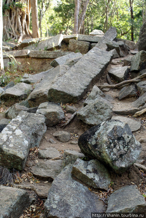 Камни на тропе Ритигала Заповедник, Шри-Ланка