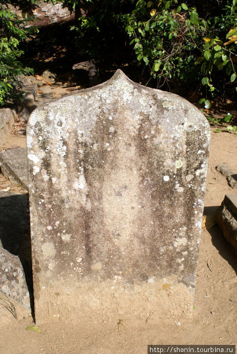 Каменная плита Ритигала Заповедник, Шри-Ланка