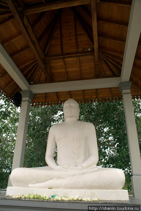 Будда Тиссамахарама, Шри-Ланка