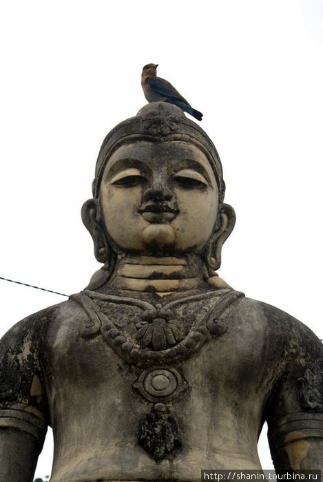 Голова статуи принцессы Вихарамахадеви Тиссамахарама, Шри-Ланка