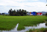 На рисовом поле