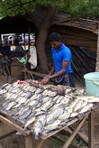 Продавец рыбы — ее ловят в водохранилище и продают прямо на берегу