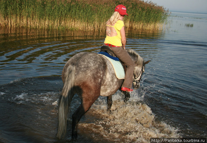 А через несколько секунд я окажусь в воде, так как моей лошадке приспичило искупаться