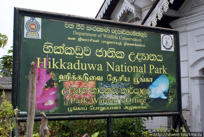 Национальный парк Хиккадува, Шри-Ланка