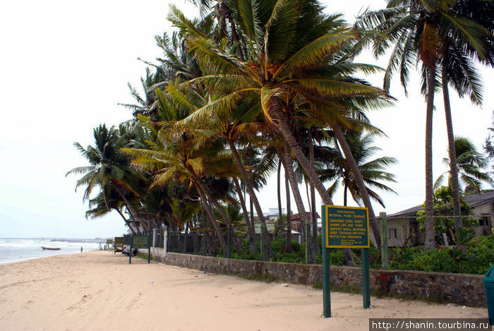 Пляж Хиккадува Хиккадува, Шри-Ланка