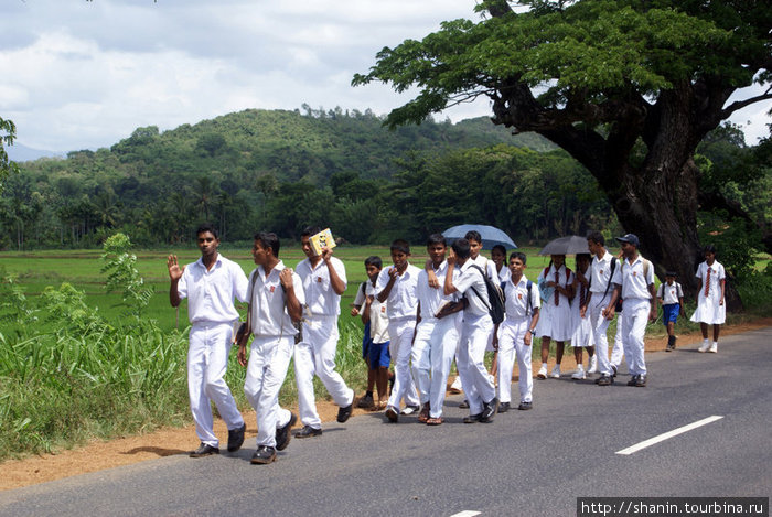 Жители Цейлона Шри-Ланка