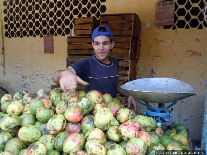 Продавец фруктов Куба