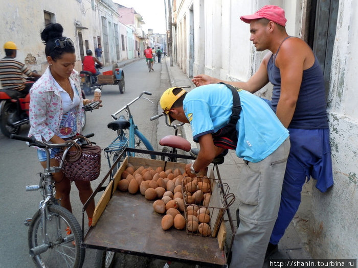 На уличном рынке Куба