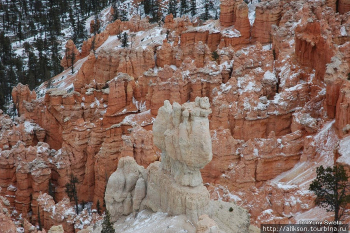 Bryce Canyon National Park, Utah
Эти штуки называются Худус (Hoodoos). По индейской легенде это люди, которые обидели койота, и которых он превратил в камень. Штат Юта, CША