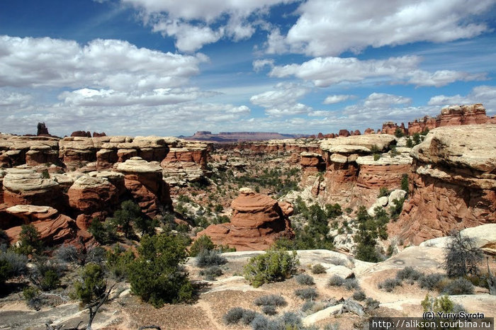 Canyonlands National Park, Utah Штат Юта, CША