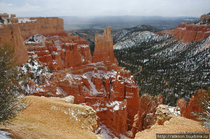 Bryce Canyon National Park, Utah Штат Юта, CША