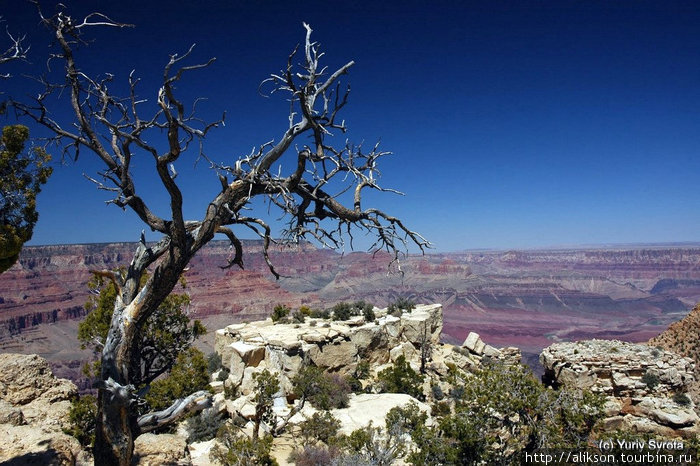 Grand Canyon, Arizona Штат Юта, CША