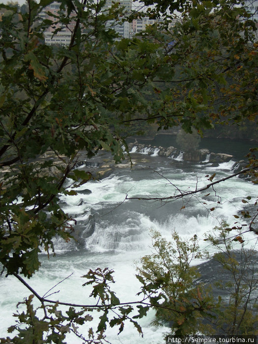 Рейнский водопад Швейцария