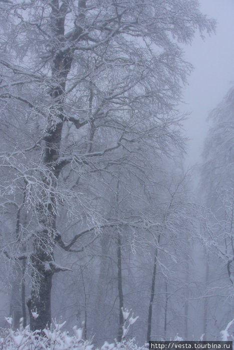 Красная поляна Красная Поляна, Россия