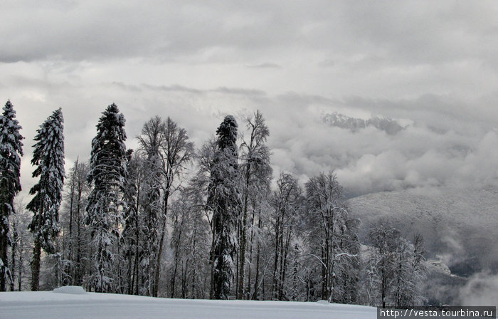 Красная поляна Красная Поляна, Россия