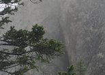 Туман на Двуглавой сопке