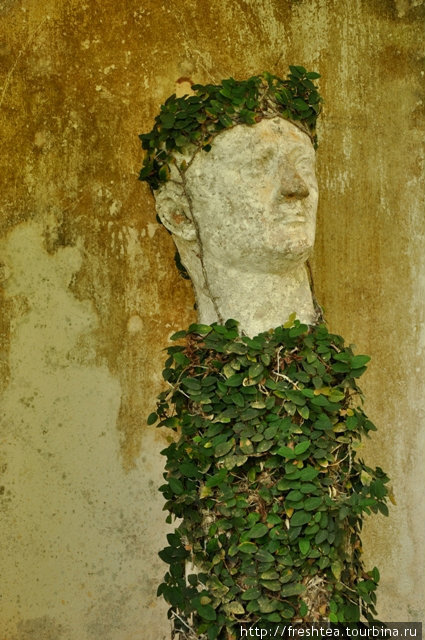 Творец усадьбы — человек с тонкой иронией: античные головы (какая же итальянская вилла без них?) он вводит в тропический мир Лунуганги, используя вместо лавра плющ с изящными резными листочками. Шри-Ланка