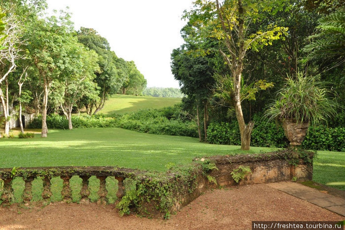 Вид с главной террасы на Коричный холм. Чтобы создать иллюзию единого пространства, Бава зрительно объединяет 2 земельных участка, разделенных дорогой, искусно расположив на газоне массив кустарника. Шри-Ланка