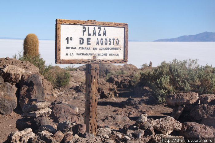 Мир без виз - 137. Паровозы, соль и кактусы Уюни, Боливия
