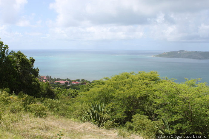 Садоводы Карибского моря Антигуа и Барбуда