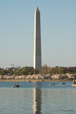 Памятник Вашингтону во время цветения вишен.