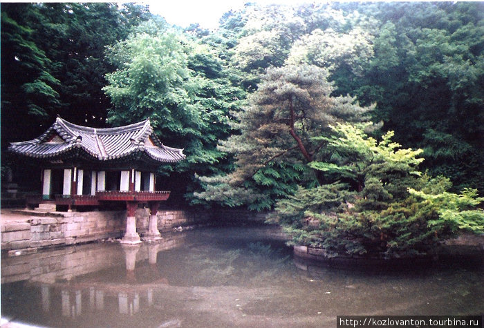 Лотосовый пруд в секретном саду Хувон. Сеул, Республика Корея