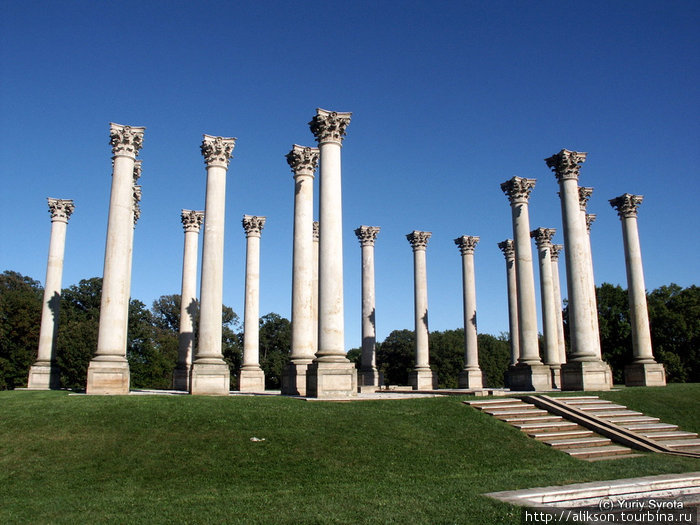 В Арборетуме. Эти колонны первоначально должны были поддерживать купол Капитолия. Но купол получился гораздо больше, чем первоначально планировали, и колонны пришлось пристроить в Арборетуме. Вашингтон, CША