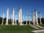В Арборетуме. Эти колонны первоначально должны были поддерживать купол Капитолия. Но купол получился гораздо больше, чем первоначально планировали, и колонны пришлось пристроить в Арборетуме.