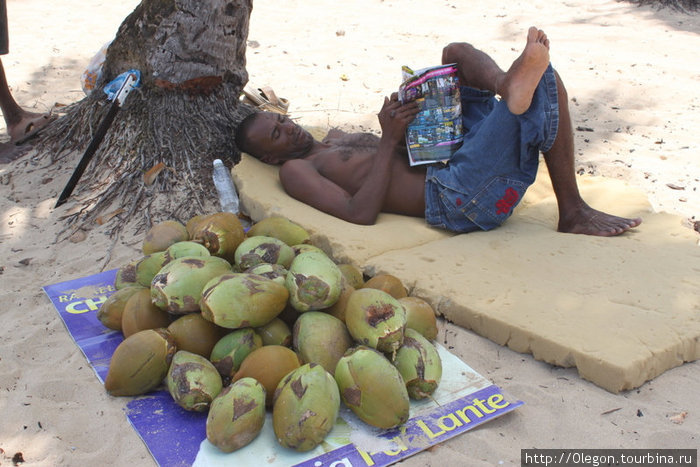 Послю, подожду, когда ещё кокосов сверху нападает Доминиканская Республика