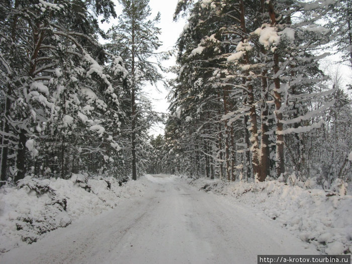 Зимняя дорога на Ворзогоры Онега, Россия
