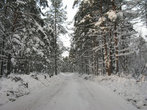 Зимняя дорога на Ворзогоры