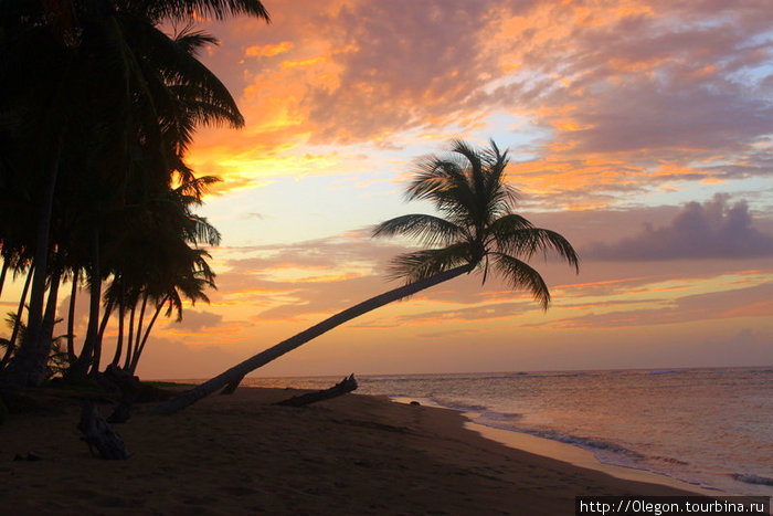 Пальмы и закаты Доминиканская Республика