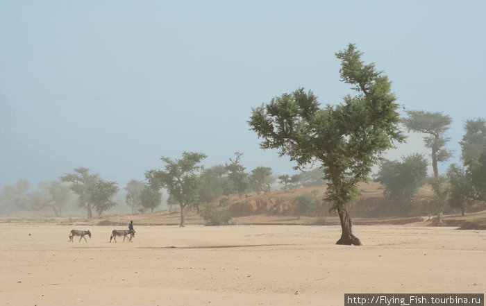 Большое путешествие по Западной Африке. Мали. Мали