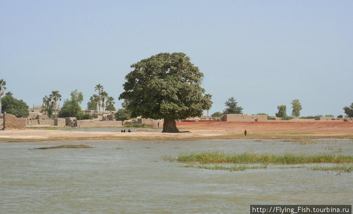 На реке Нигер Мали