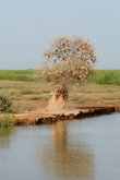 На реке Нигер