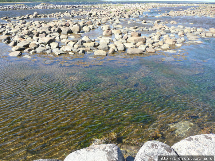 такая чистая вода в Белом море Соловецкие острова, Россия