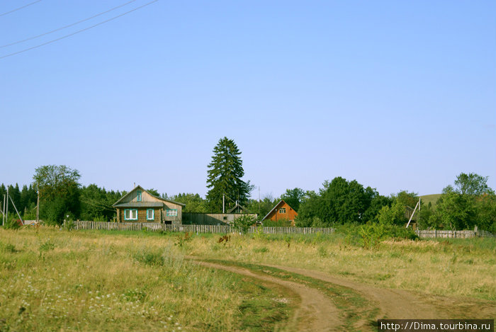 По полевой дороге в деревню... Удмуртия, Россия