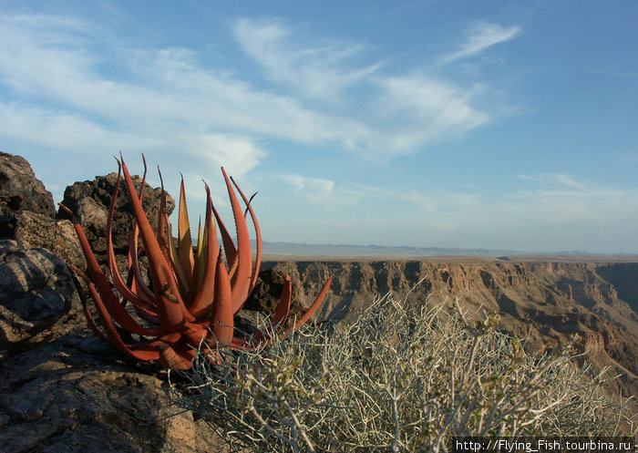 Фиш Ривер Каньон — второй по величине в мире. Общая длина каньона 160 км, ширина до 27 км и глубина до 550 м. Намибия