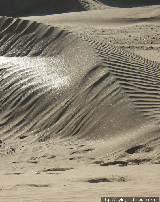 Сверкающие дюны. Намибия