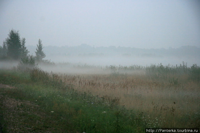 Несколько слов о наших туманах Санкт-Петербург и Ленинградская область, Россия