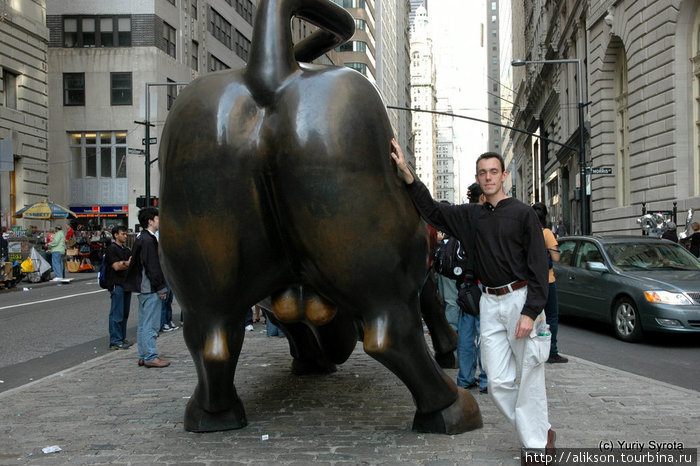 Статуя быка на Волл стрит. Люди стоят в очереди, чтобы сфоткаться с быком, как спереди, так и сзади. О популярности можно судить по цвету бронзы — где она светлее, там больше людей подержались рукой. Нью-Йорк, CША